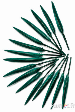 Oca - 5-8 cm - verde abete